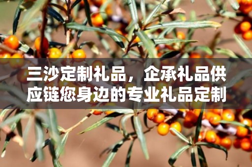 三沙定制礼品，企承礼品供应链您身边的专业礼品定制公司